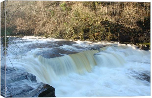 Falls of Clyde Canvas Print by Iain McGillivray