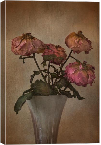  Withering Roses  Canvas Print by Eddie John