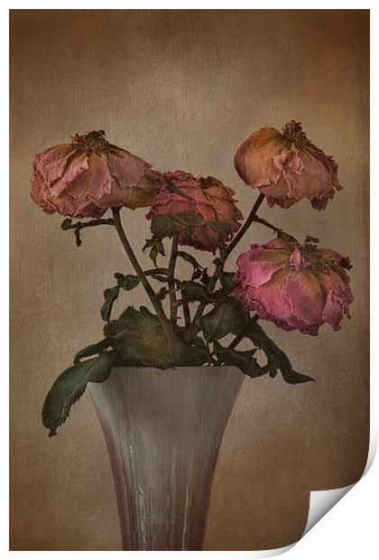  Withering Roses  Print by Eddie John