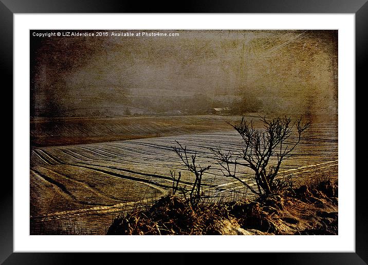 Over The Fields  Framed Mounted Print by LIZ Alderdice