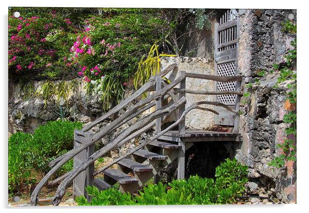  Driftwood Steps Acrylic by Jane Emery