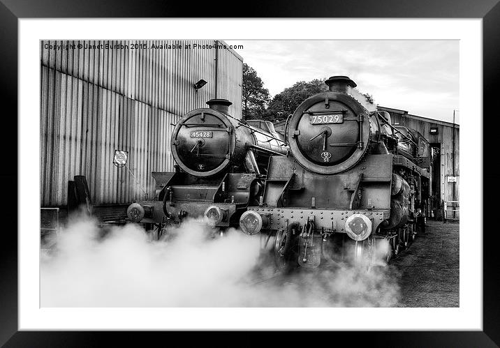 Steam loco's Sir Eric Treacy and The Green Knight Framed Mounted Print by Janet Burdon