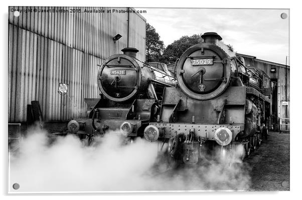 Steam loco's Sir Eric Treacy and The Green Knight Acrylic by Janet Burdon