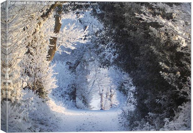  Winter wonderland Canvas Print by Carol Young