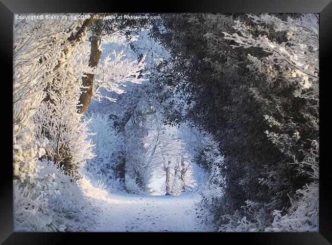  Winter wonderland Framed Print by Carol Young