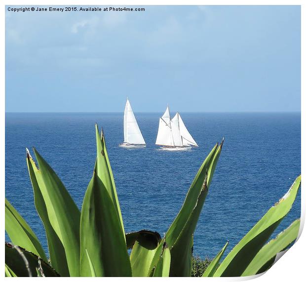  Sailing in Barbados Round the Island Race Print by Jane Emery