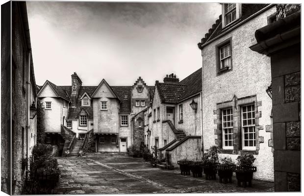 White Horse Close - B&W Canvas Print by Tom Gomez