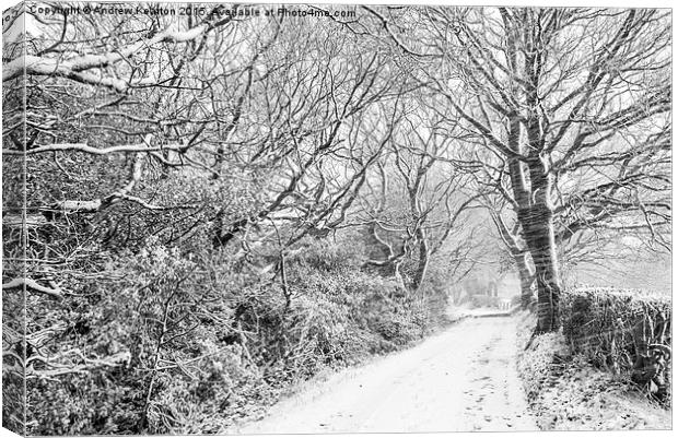  English country lane in a blizzard Canvas Print by Andrew Kearton