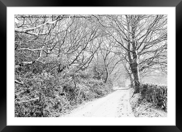  English country lane in a blizzard Framed Mounted Print by Andrew Kearton