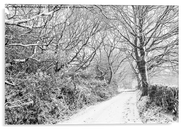  English country lane in a blizzard Acrylic by Andrew Kearton