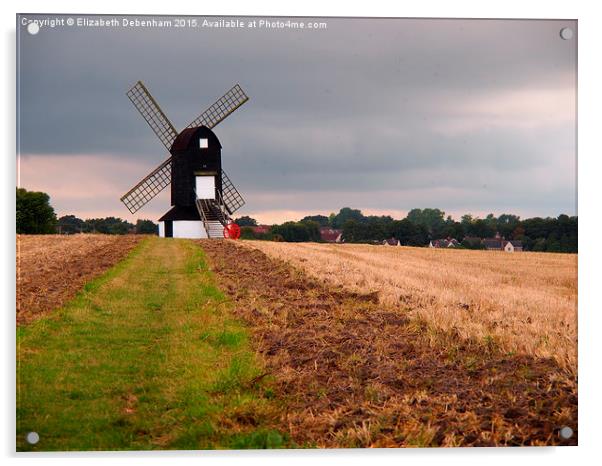 Windmill in the Chilterns  Acrylic by Elizabeth Debenham
