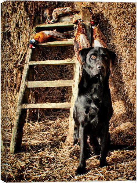  Black Labrador His Work is over  Canvas Print by Jon Fixter
