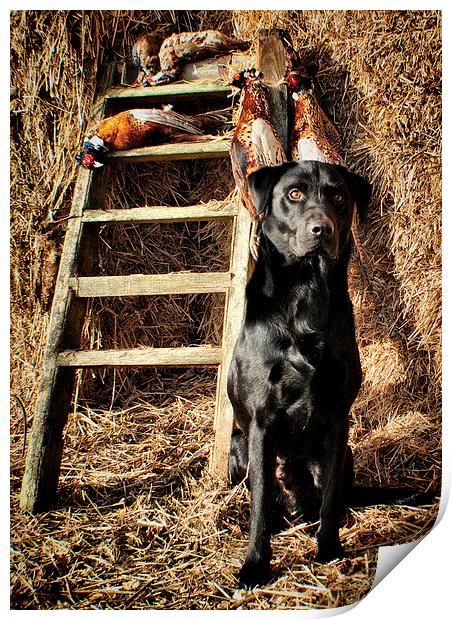  Black Labrador His Work is over  Print by Jon Fixter