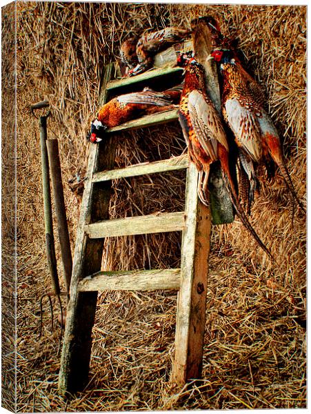  The Prize of pheasants Canvas Print by Jon Fixter