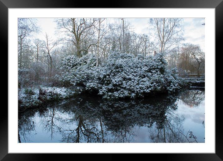  reflections of a winters day  Framed Mounted Print by stephen king