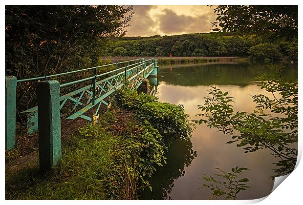  Slade Reservoir, Nr Ilfracombe. Print by Dave Wilkinson North Devon Ph