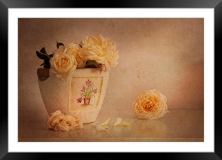 Cream roses in elegant vase  Framed Mounted Print by Eddie John
