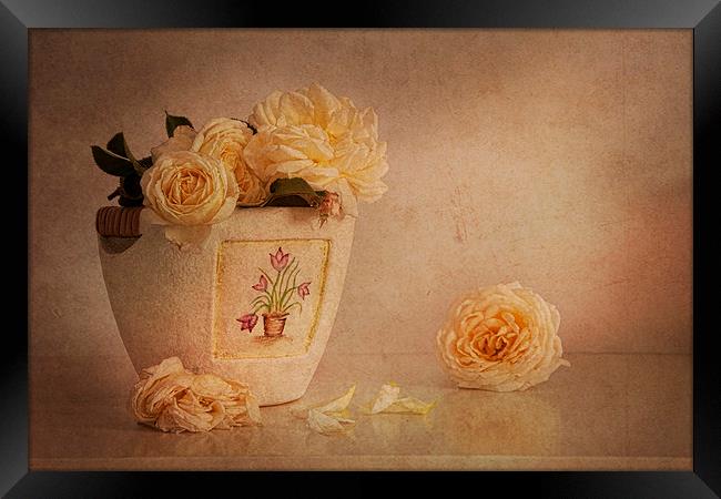 Cream roses in elegant vase  Framed Print by Eddie John