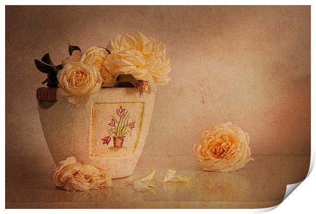 Cream roses in elegant vase  Print by Eddie John