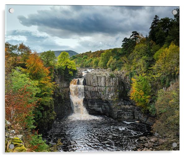  High Force waterfall in colour Acrylic by Greg Marshall