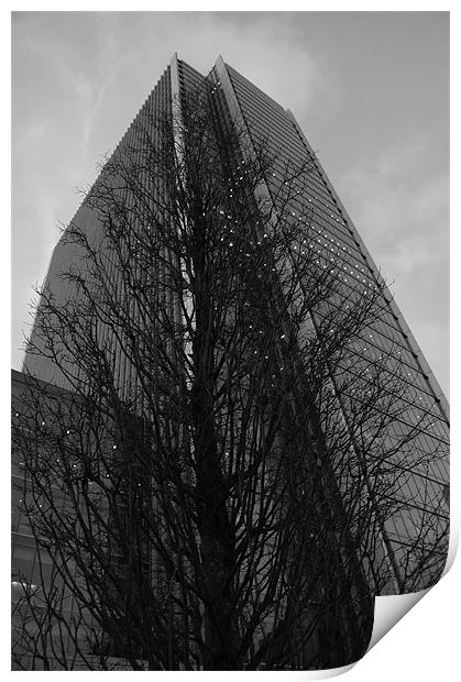 Canary Wharf Tower and Tree Print by Iain McGillivray