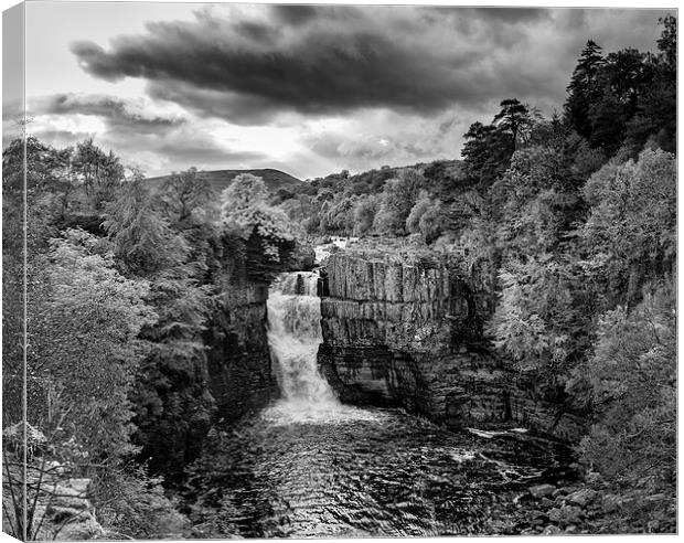  High Force waterfall monotone Canvas Print by Greg Marshall