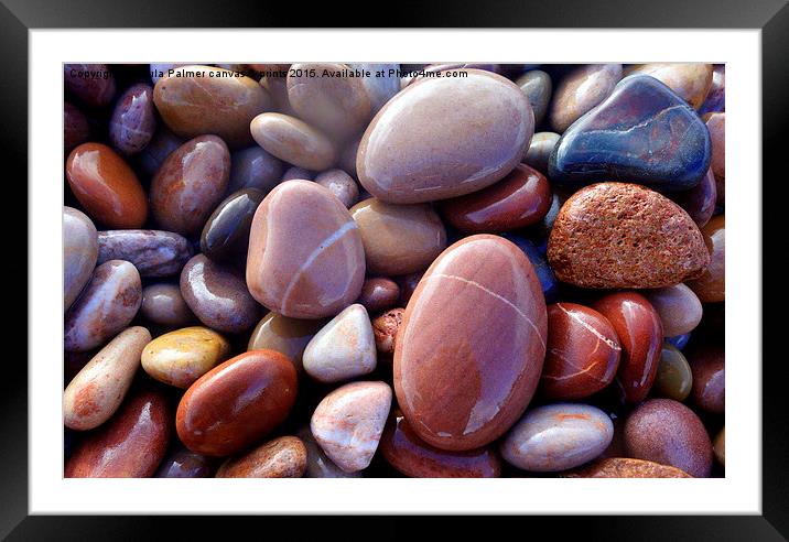  Glossy,wet, pebbles Framed Mounted Print by Paula Palmer canvas