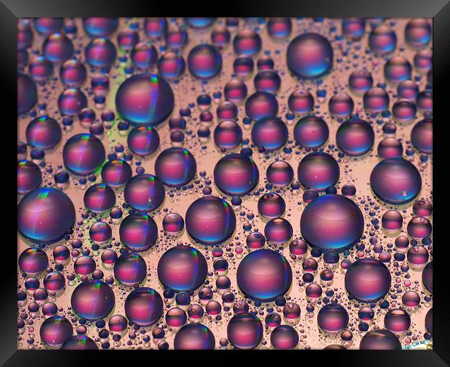 Water Drops Framed Print by Victor Burnside