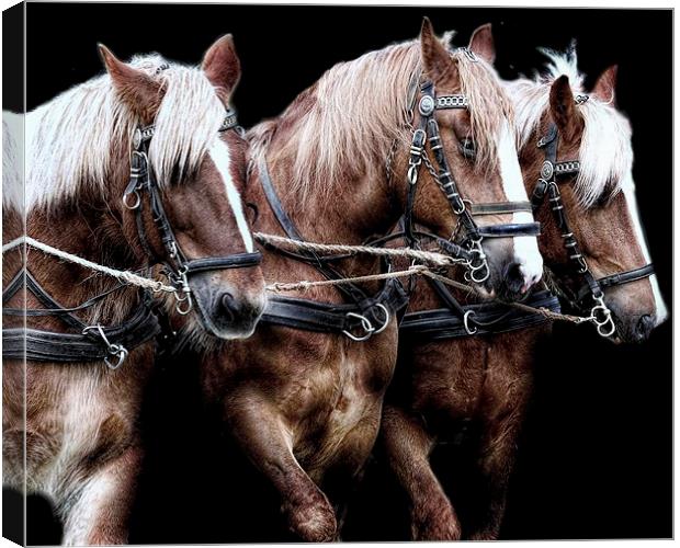  Three is a magic number Canvas Print by Alan Mattison