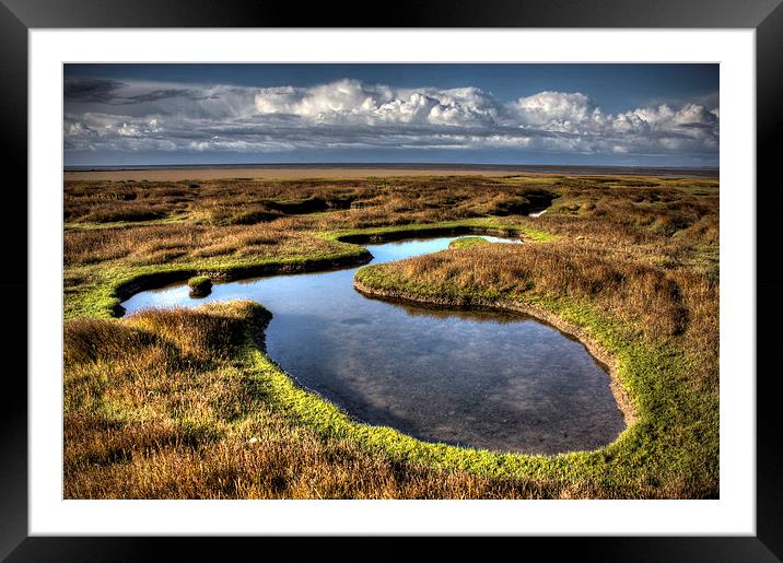  Salt marsh pool Framed Mounted Print by Steven Shea
