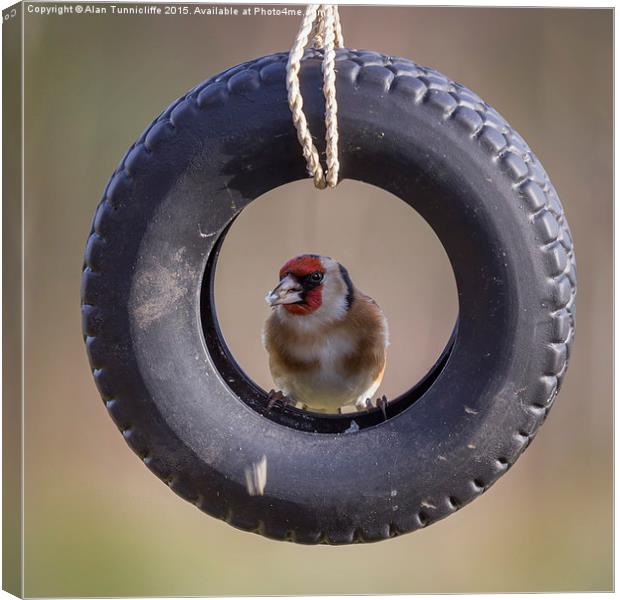  Goldfinch in Tyre Canvas Print by Alan Tunnicliffe
