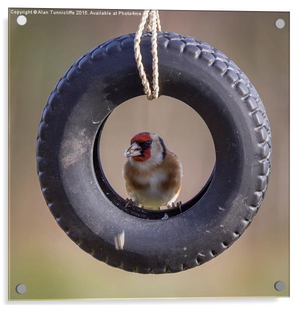  Goldfinch in Tyre Acrylic by Alan Tunnicliffe