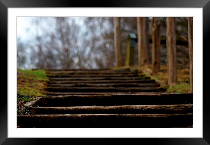  Woodland Steps Framed Mounted Print by Squawk Photography