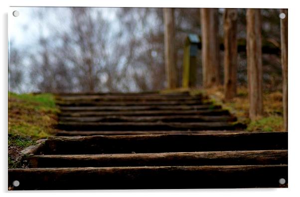  Woodland Steps Acrylic by Squawk Photography