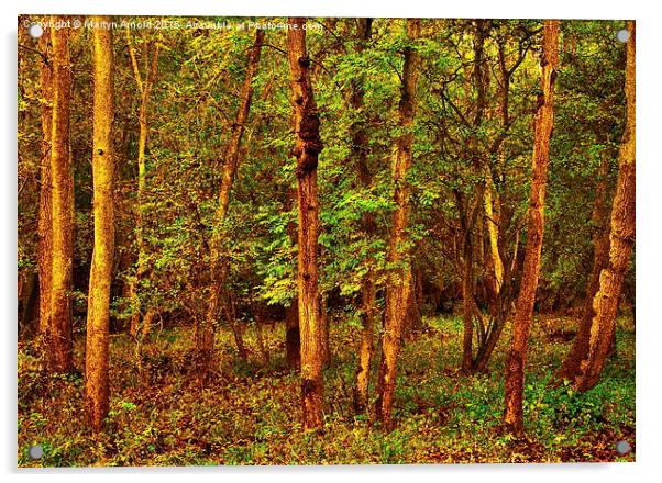  Ash Tree Woodland Acrylic by Martyn Arnold