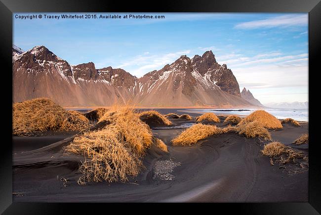  Vestrahorn Mountain Framed Print by Tracey Whitefoot