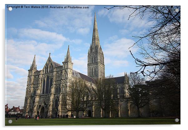 Salisbury Cathedral Acrylic by Terri Waters