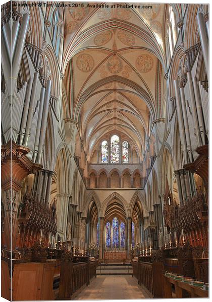  Salisbury Cathedral Quire And High Altar Canvas Print by Terri Waters