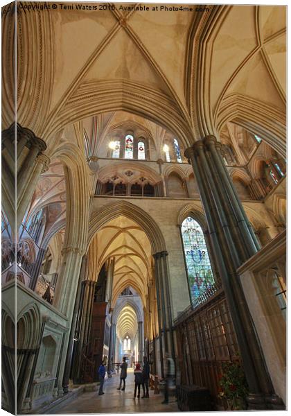  Salisbury Cathedral South Aisle Canvas Print by Terri Waters