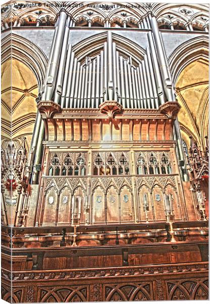 Salisbury Cathedral Organ  Canvas Print by Terri Waters