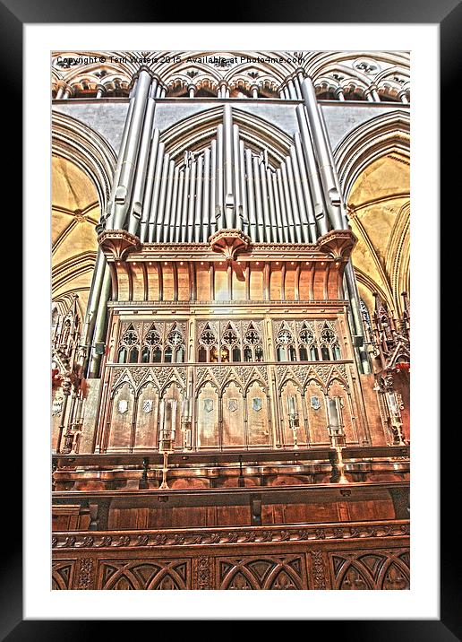 Salisbury Cathedral Organ  Framed Mounted Print by Terri Waters