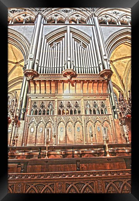 Salisbury Cathedral Organ  Framed Print by Terri Waters