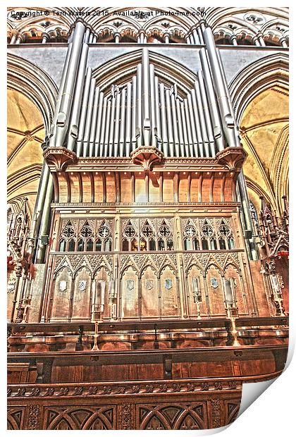 Salisbury Cathedral Organ  Print by Terri Waters