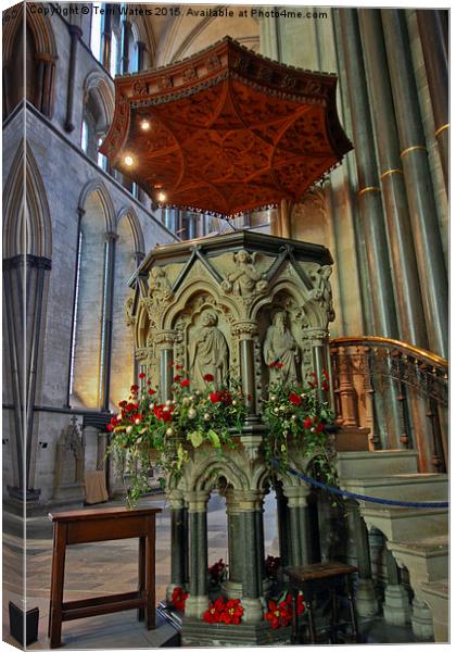  Salisbury Cathedral Pulpit  Canvas Print by Terri Waters