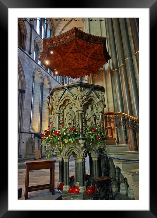  Salisbury Cathedral Pulpit  Framed Mounted Print by Terri Waters