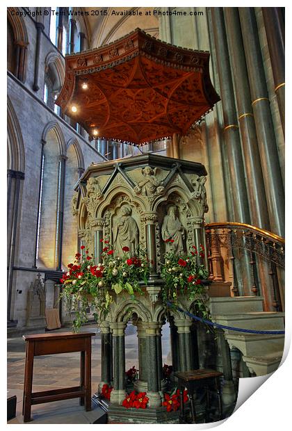  Salisbury Cathedral Pulpit  Print by Terri Waters