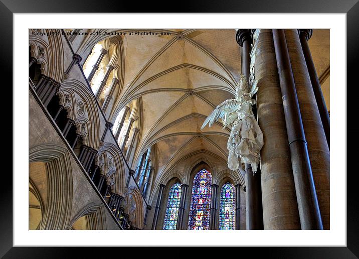 Salisbury Cathedral Vaulted Ceiling And Peter Rush Framed Mounted Print by Terri Waters