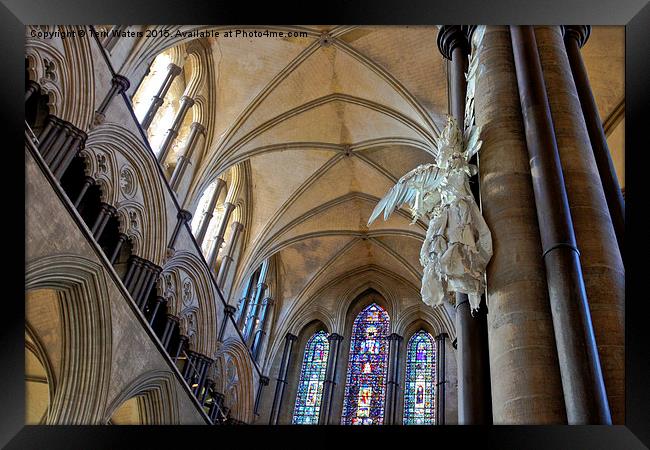 Salisbury Cathedral Vaulted Ceiling And Peter Rush Framed Print by Terri Waters