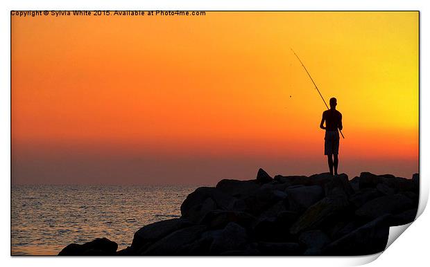  Fishing for Breakfast Print by Sylvia White