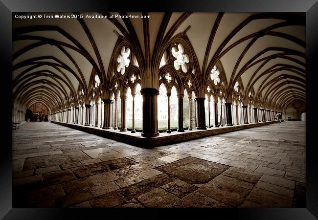  Salisbury Cathedral Cloisters Framed Print by Terri Waters